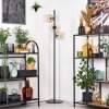 Ripoll floor lamp Amber, clear, 3-light sources
