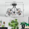 Ripoll ceiling light, globe light clear, Smoke-coloured, 5-light sources