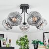 Ripoll ceiling light, globe light chrome, clear, Smoke-coloured, 5-light sources