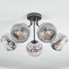 Ripoll ceiling light, globe light chrome, clear, Smoke-coloured, 5-light sources