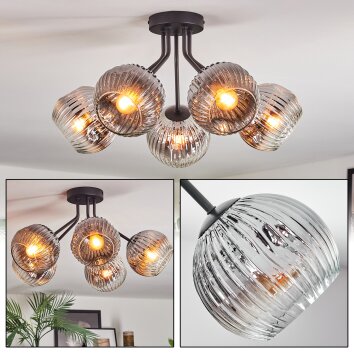 Ripoll ceiling light, globe light chrome, clear, Smoke-coloured, 5-light sources