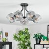 Ripoll ceiling light, globe light clear, Smoke-coloured, 5-light sources