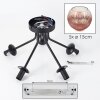 Ripoll ceiling light, globe light clear, coppery, 5-light sources