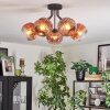 Ripoll ceiling light, globe light clear, coppery, 5-light sources