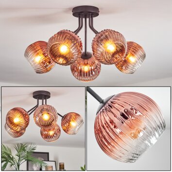 Ripoll ceiling light, globe light clear, coppery, 5-light sources