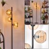Ripoll floor lamp Amber, 3-light sources