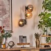 Gastor globe light, wall light Amber, clear, Smoke-coloured, 3-light sources