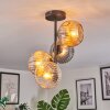 Ripoll ceiling light, globe light Amber, clear, Smoke-coloured, 4-light sources