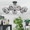 Ripoll ceiling light, globe light Smoke-coloured, 7-light sources