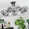 Ripoll ceiling light, globe light Smoke-coloured, 7-light sources