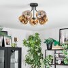 Ripoll ceiling light, globe light gold, clear, 5-light sources