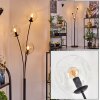 Ripoll globe light, floor lamp clear, 3-light sources