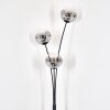 Ripoll globe light, floor lamp chrome, clear, Smoke-coloured, 3-light sources