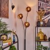 Ripoll globe light, floor lamp coppery, 3-light sources