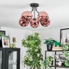 Ripoll ceiling light, globe light coppery, 5-light sources