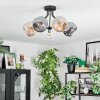 Ripoll ceiling light, globe light Amber, clear, Smoke-coloured, 5-light sources