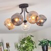 Ripoll ceiling light, globe light Amber, clear, Smoke-coloured, 5-light sources