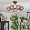 Ripoll ceiling light, globe light Smoke-coloured, 5-light sources