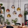 Gastor hanging light, globe light, pendant light chrome, gold, clear, coppery, Smoke-coloured, 6-light sources