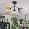 Koyoto ceiling light, globe light 42 cm Amber, clear, Smoke-coloured, 3-light sources