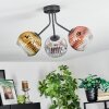 Koyoto ceiling light, globe light 42 cm chrome, gold, clear, coppery, Smoke-coloured, 3-light sources