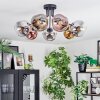 Ripoll ceiling light, globe light chrome, gold, clear, coppery, Smoke-coloured, 7-light sources