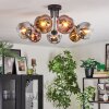 Ripoll ceiling light, globe light chrome, gold, clear, coppery, Smoke-coloured, 7-light sources
