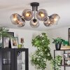 Ripoll ceiling light, globe light clear, Smoke-coloured, 7-light sources