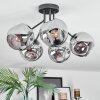 Ripoll ceiling light, globe light Smoke-coloured, 5-light sources