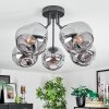 Ripoll ceiling light, globe light Smoke-coloured, 5-light sources