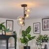Koyoto ceiling light, globe light clear, 4-light sources