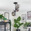 Koyoto ceiling light, globe light 32 cm clear, Smoke-coloured, 4-light sources