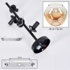 Ripoll ceiling light, globe light Amber, clear, 4-light sources