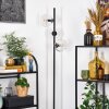Ripoll floor lamp clear, 3-light sources