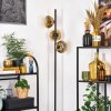 Ripoll floor lamp gold, clear, 3-light sources