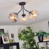 Koyoto ceiling light, globe light 42 cm Amber, clear, Smoke-coloured, 3-light sources