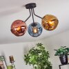 Ripoll ceiling light, globe light blue, gold, coppery, 3-light sources