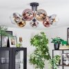 Koyoto ceiling light, globe light 82 cm chrome, gold, clear, coppery, Smoke-coloured, 7-light sources