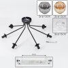 Ripoll ceiling light, globe light Amber, clear, Smoke-coloured, 7-light sources