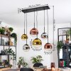 Gastor hanging light, globe light, pendant light chrome, gold, clear, coppery, Smoke-coloured, 6-light sources