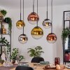 Gastor hanging light, globe light, pendant light chrome, gold, clear, coppery, Smoke-coloured, 6-light sources