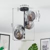Ripoll ceiling light, globe light Smoke-coloured, 4-light sources