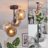 Ripoll ceiling light, globe light clear, Smoke-coloured, 4-light sources
