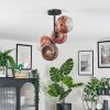Ripoll ceiling light, globe light clear, coppery, 4-light sources