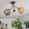 Ripoll ceiling light, globe light Amber, clear, Smoke-coloured, 3-light sources
