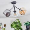 Ripoll ceiling light, globe light Amber, clear, Smoke-coloured, 3-light sources