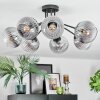 Koyoto ceiling light, globe light 82 cm clear, Smoke-coloured, 7-light sources