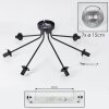 Koyoto ceiling light, globe light 82 cm clear, Smoke-coloured, 7-light sources
