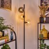 Ripoll floor lamp Amber, clear, Smoke-coloured, 3-light sources