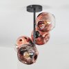 Ripoll ceiling light, globe light clear, coppery, 4-light sources